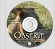 Observe